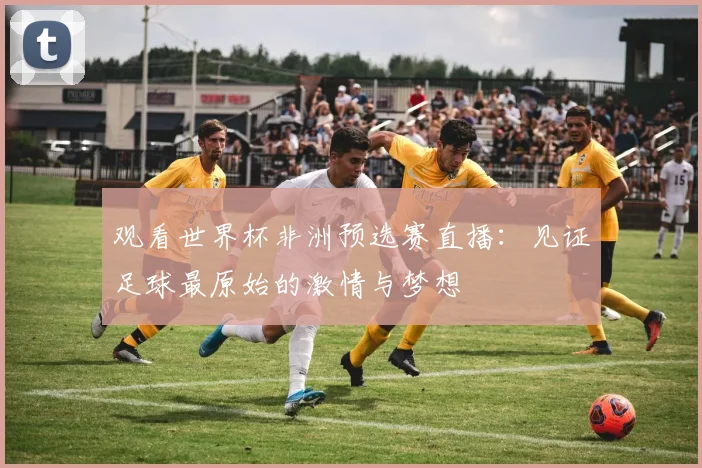 观看世界杯非洲预选赛直播：见证足球最原始的激情与梦想