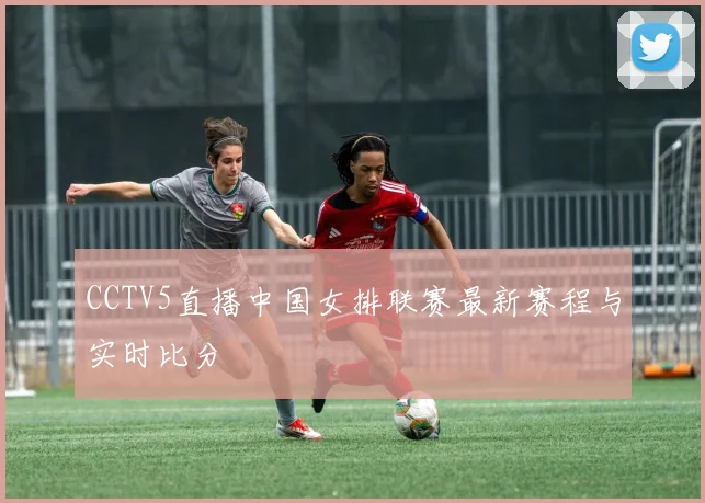 CCTV5直播中国女排联赛最新赛程与实时比分