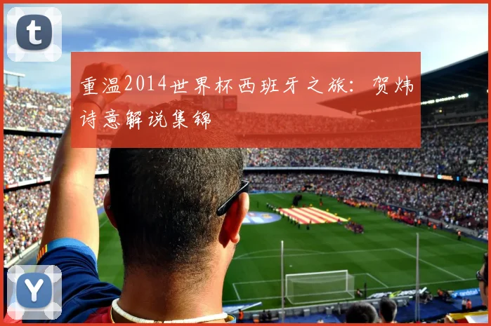 重温2014世界杯西班牙之旅：贺炜诗意解说集锦